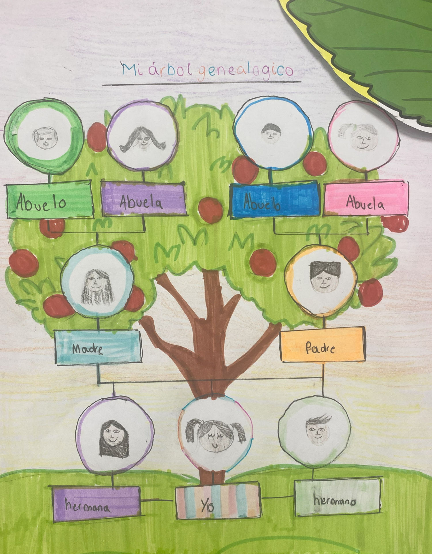 A drawing of a family tree, labelled (in Spanish ) with the names of family members