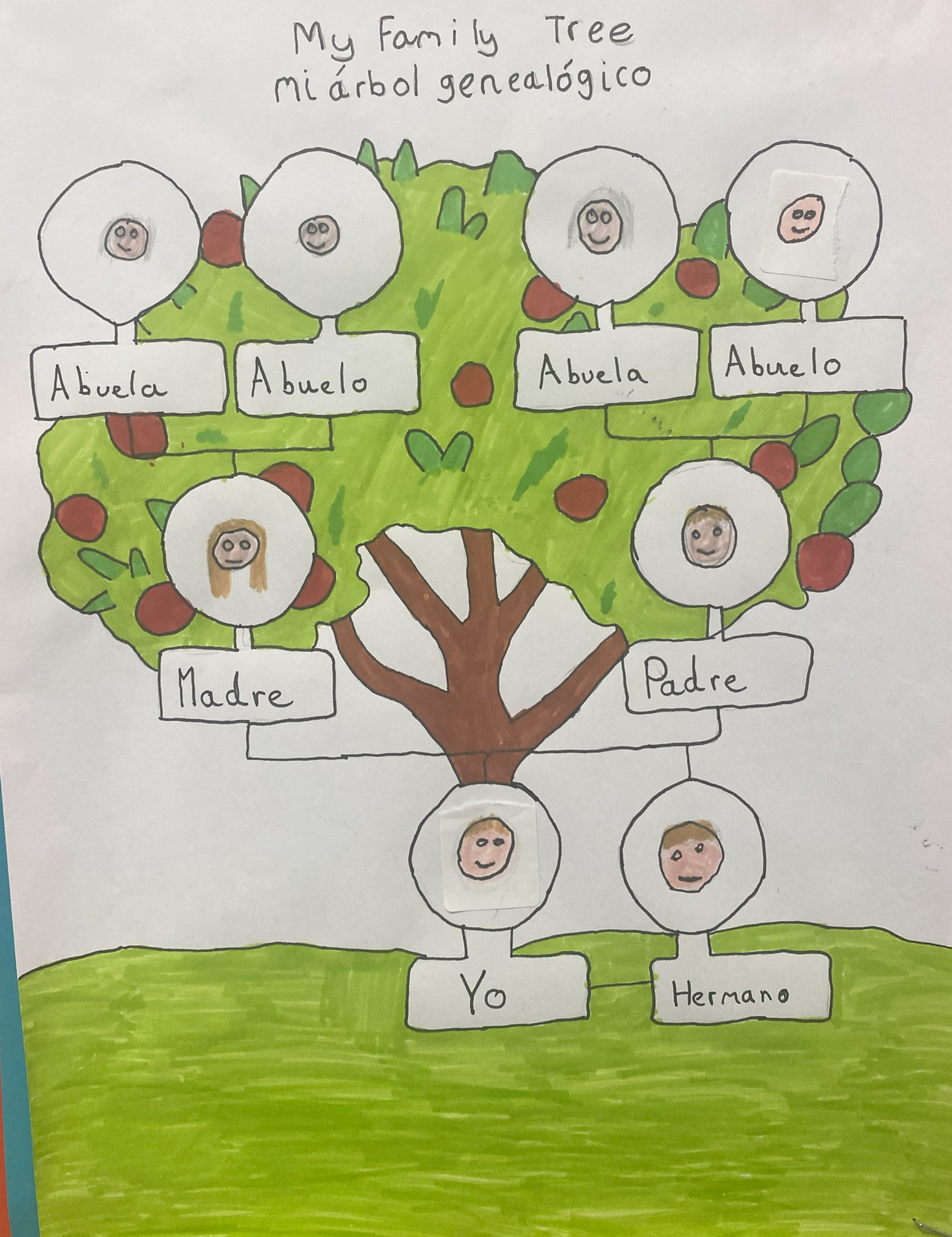 A drawing of a family tree, labelled (in Spanish ) with the names of family members.